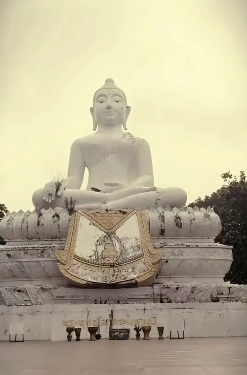 big buddha pai
