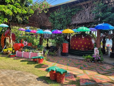 straberry cafe pai 1