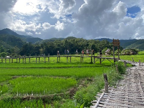 bamboo bridge pai3
