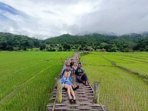 bamboo bridge pai4