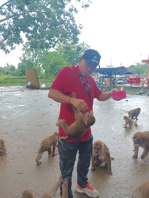 Wat Tham Pla monkies2