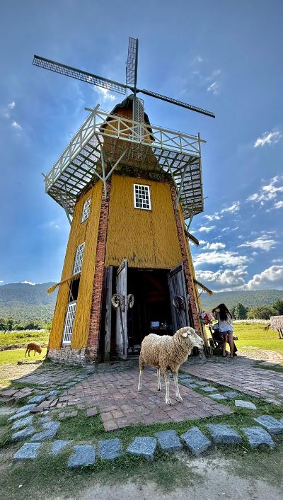 Huai Tueng Thao sheep farm 2