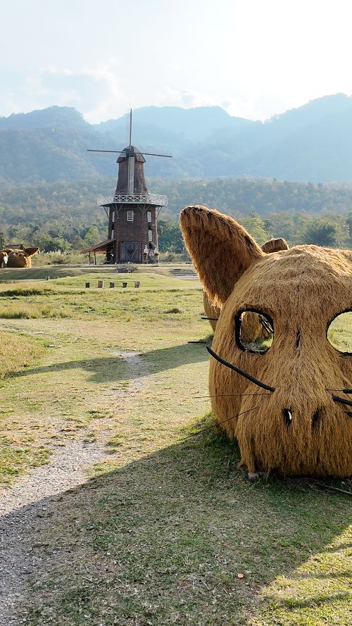 Huai Tueng Thao sheep farm