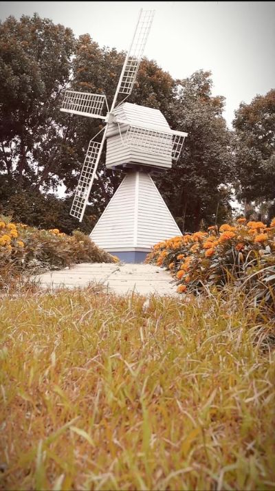 Royal Park Rajapruek3