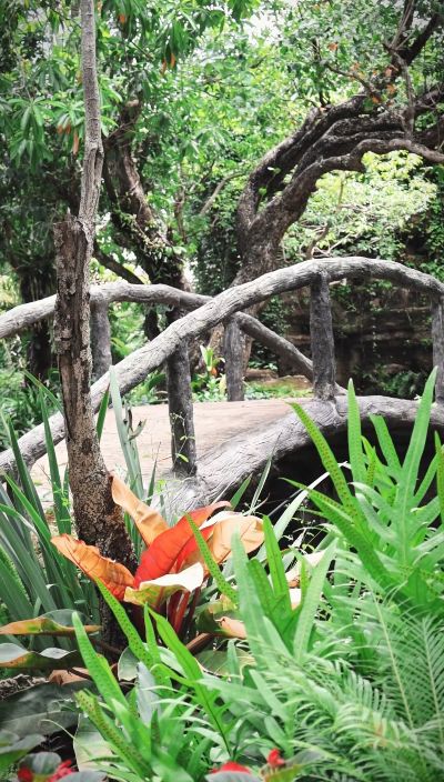 Royal Park Rajapruek4