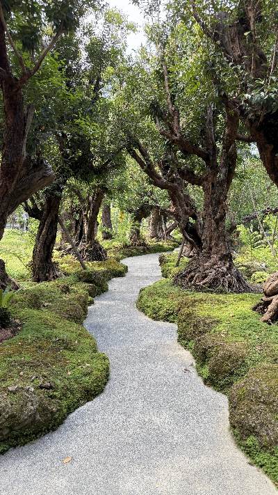Changthong Heritage Park 6