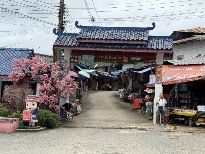 Hmong Doi Pui Village market