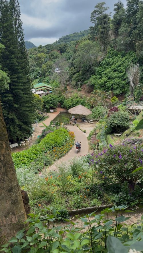 Hmong Doi Pui Village