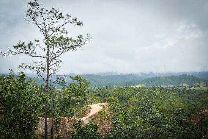 canyon pai 2